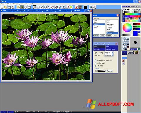 Ekran görüntüsü Pixia Windows XP