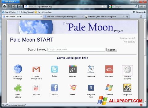 Ekran görüntüsü Pale Moon Windows XP