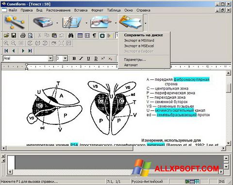 Ekran görüntüsü CuneiForm Windows XP