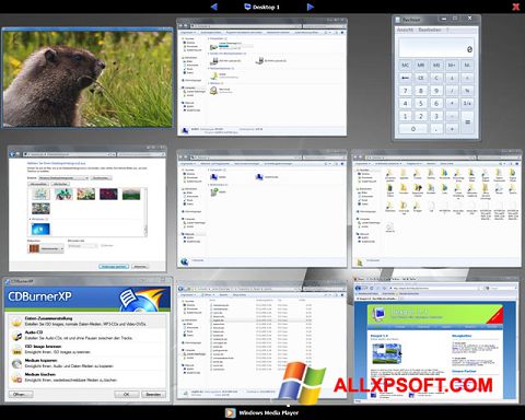 Ekran görüntüsü Dexpot Windows XP