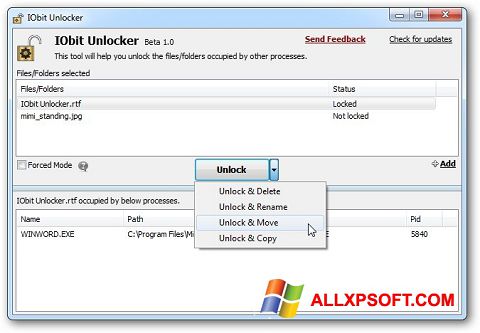 Ekran görüntüsü IObit Unlocker Windows XP