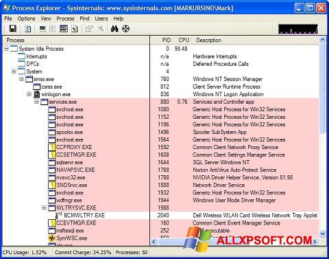 Ekran görüntüsü Process Explorer Windows XP
